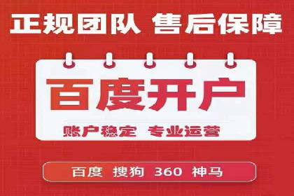 网络推广中的竞价广告：成功案例解析
